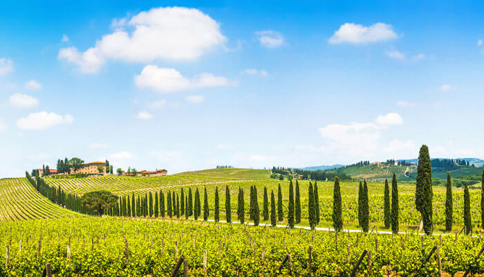 Toscana Failli 1979 Tuscany